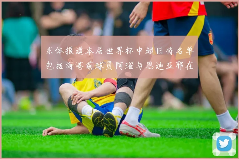东体报道本届世界杯中超旧将名单包括海港前球员阿瑙与恩迪亚耶在内的10位球员