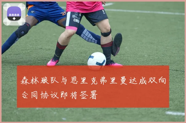 森林狼队与恩里克弗里曼达成双向合同协议即将签署
