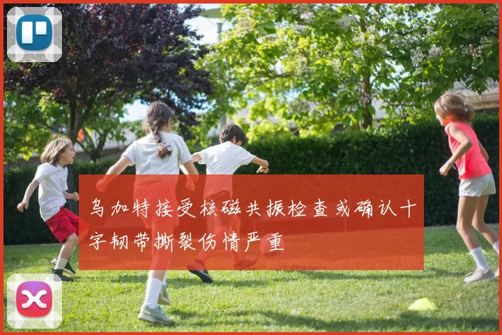 乌加特接受核磁共振检查或确认十字韧带撕裂伤情严重