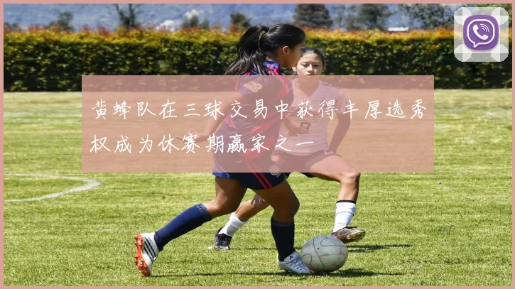 黄蜂队在三球交易中获得丰厚选秀权成为休赛期赢家之一